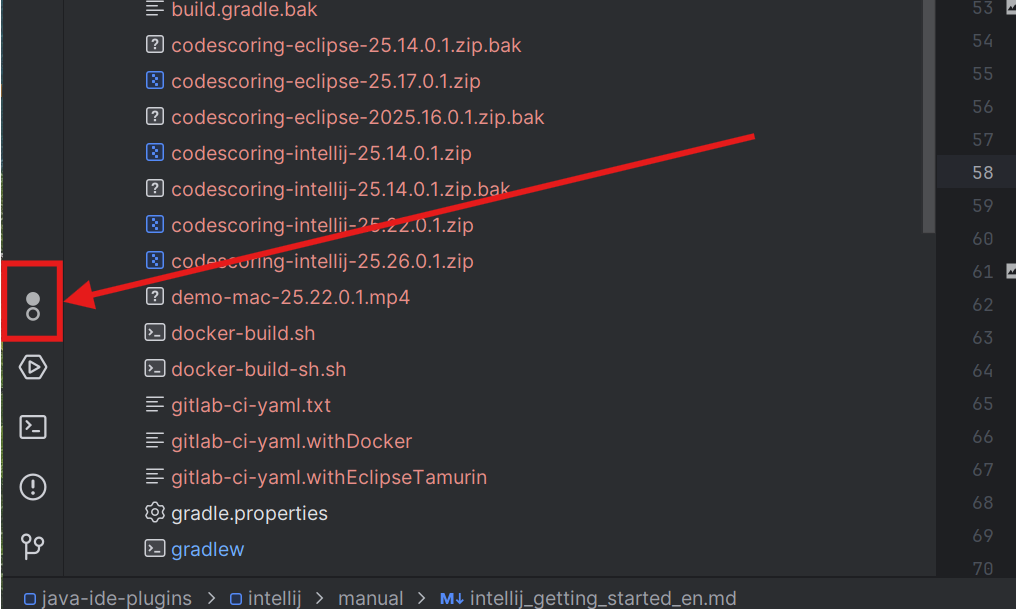 Скриншот IntelliJ IDEA с видимым окном инструментов CodeScoring